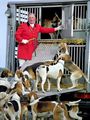 Der Master der Hunde
